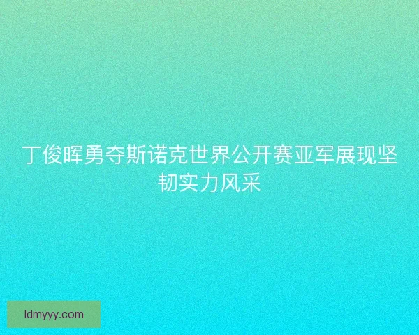 丁俊晖勇夺斯诺克世界公开赛亚军展现坚韧实力风采